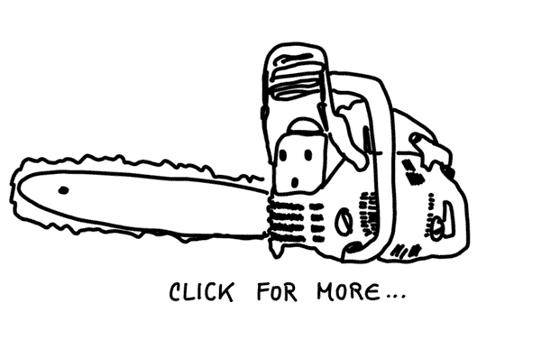 intro picture